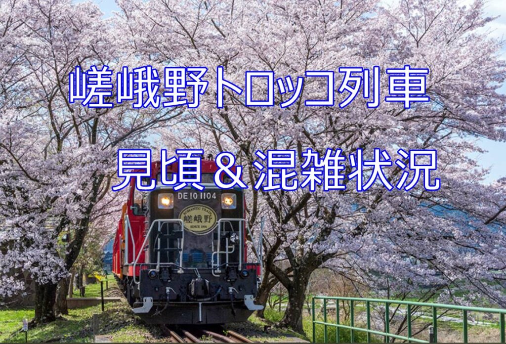 2023年京都嵯峨野トロッコ列車の桜の見頃はいつからいつまで？ライトアップ情報や混雑状況も要チェック！